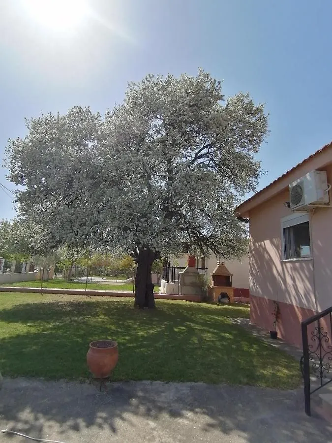 Αξέχαστη Διαμονή - Unforgettable Accommodation Nea Kallikrateia